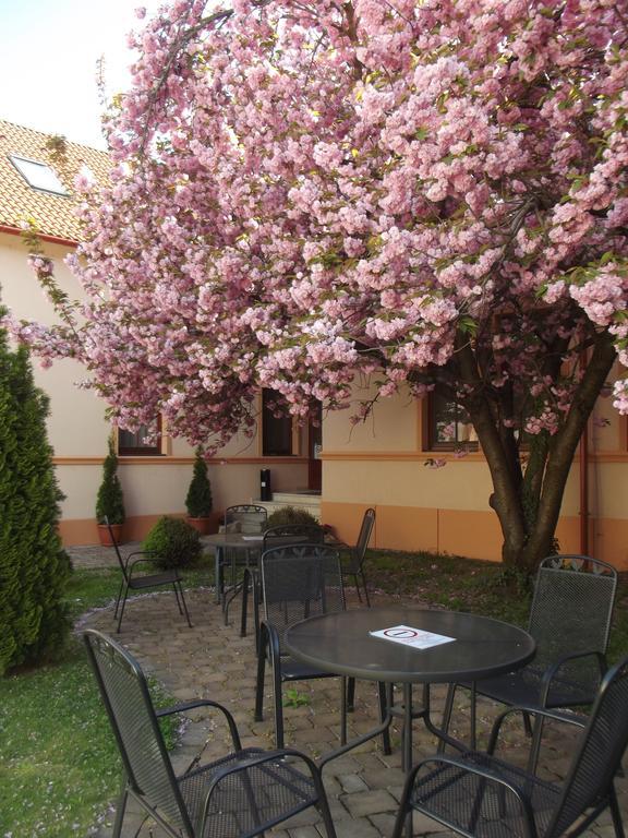Pannon Hotel Bejelentkezes 20 Oraig, Check-In Until 20 O'Clock, Einchecken Bis 20 Uhr Mohacs Ngoại thất bức ảnh